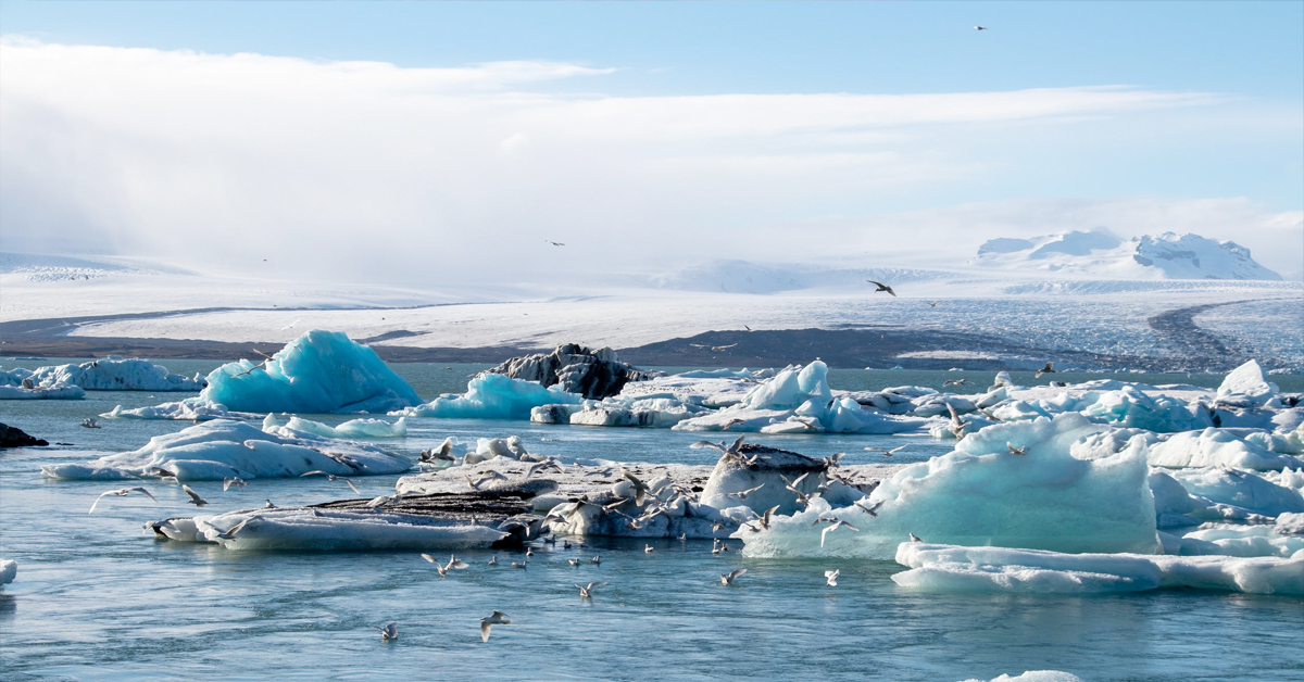 How studying our reaction to coronavirus can help us fight climate change