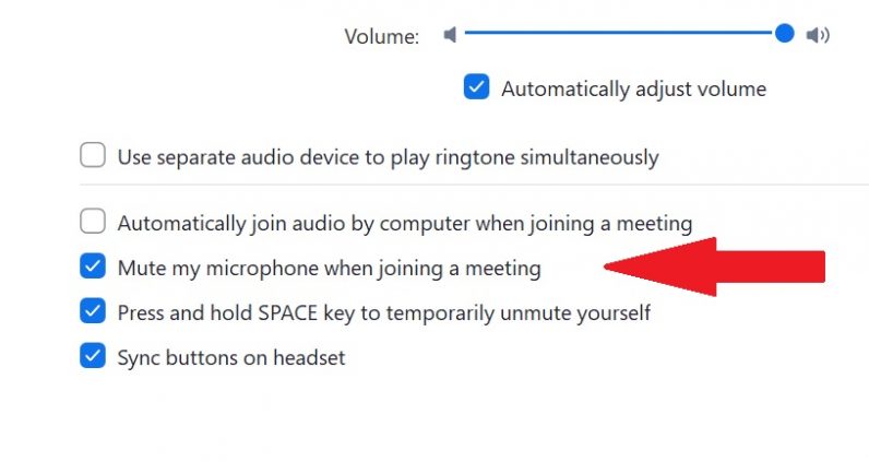 How to auto mute yourself  and others  in Zoom meetings - 61