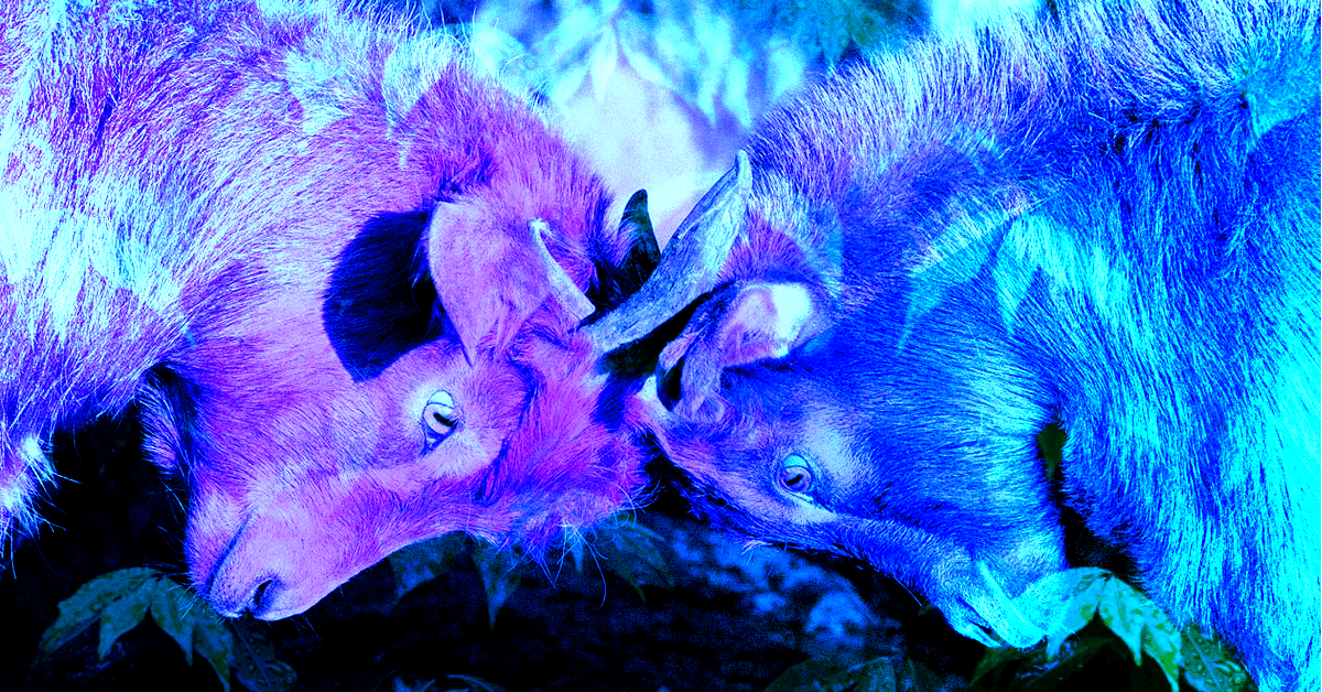 How to use ‘controversial’ content to drive high-quality backlinks Featured Image