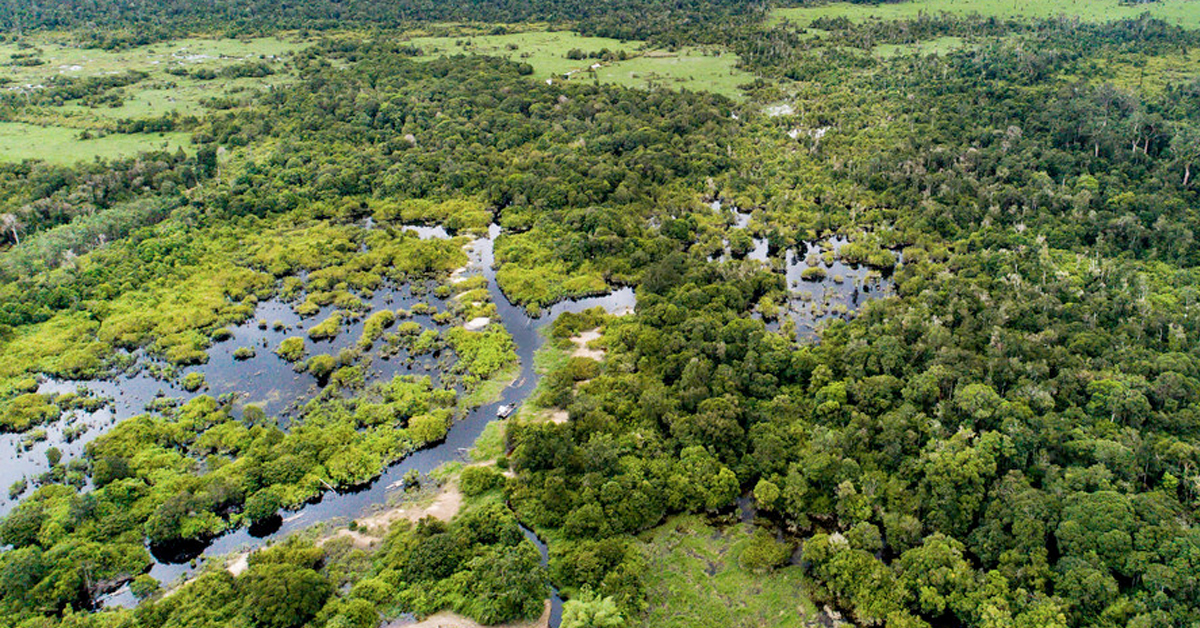 Here’s why you need to start worrying about the world’s frozen peatlands