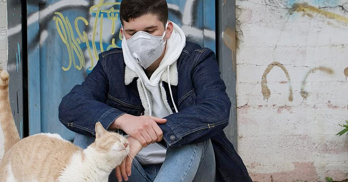 Here’s how researchers found coronavirus in a cat — but don’t panic