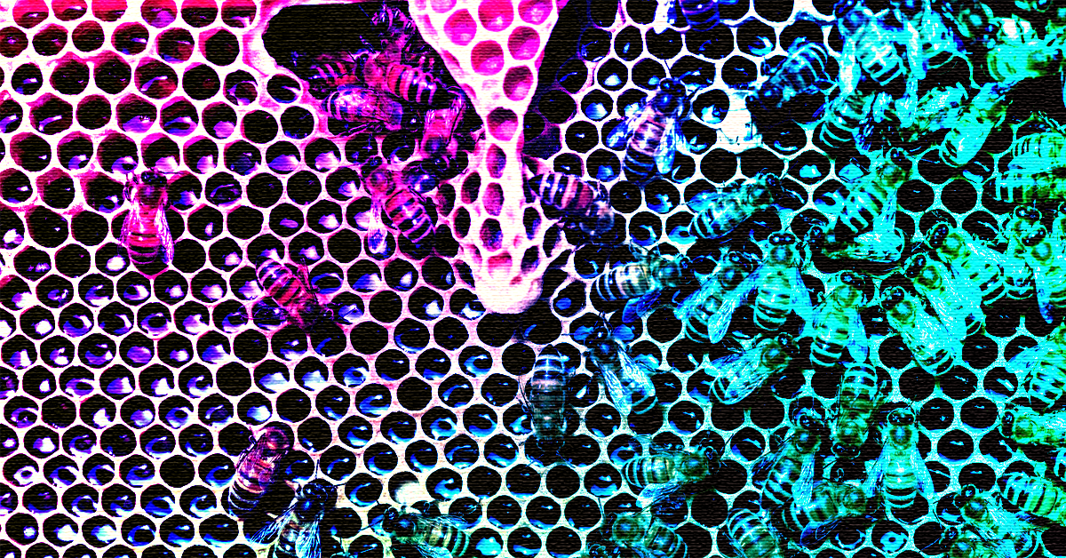 What beekeeping taught me about digital leadership