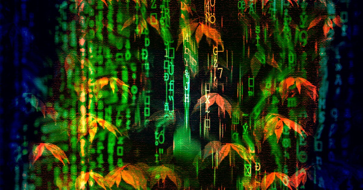 How to land your first job as a web developer