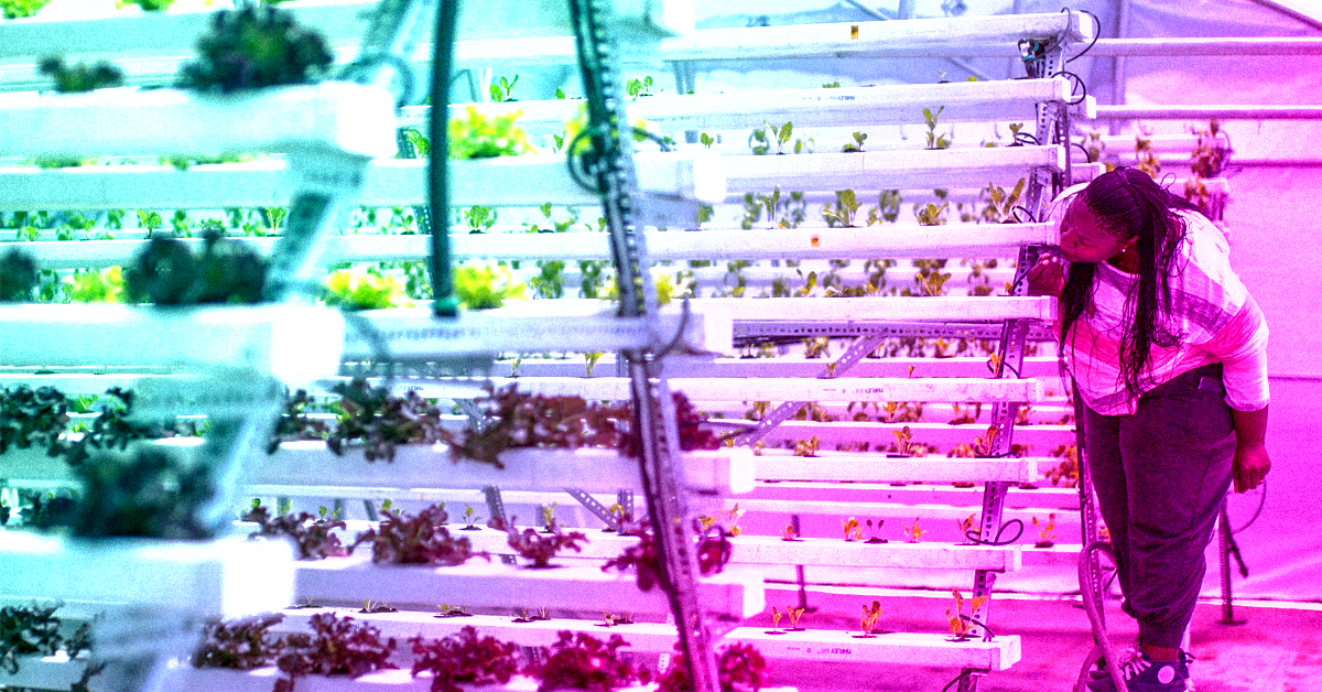 Cape Town hones ambitions to become an African tech hub