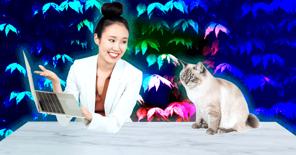 How to be appreciated for your hard work as a developer