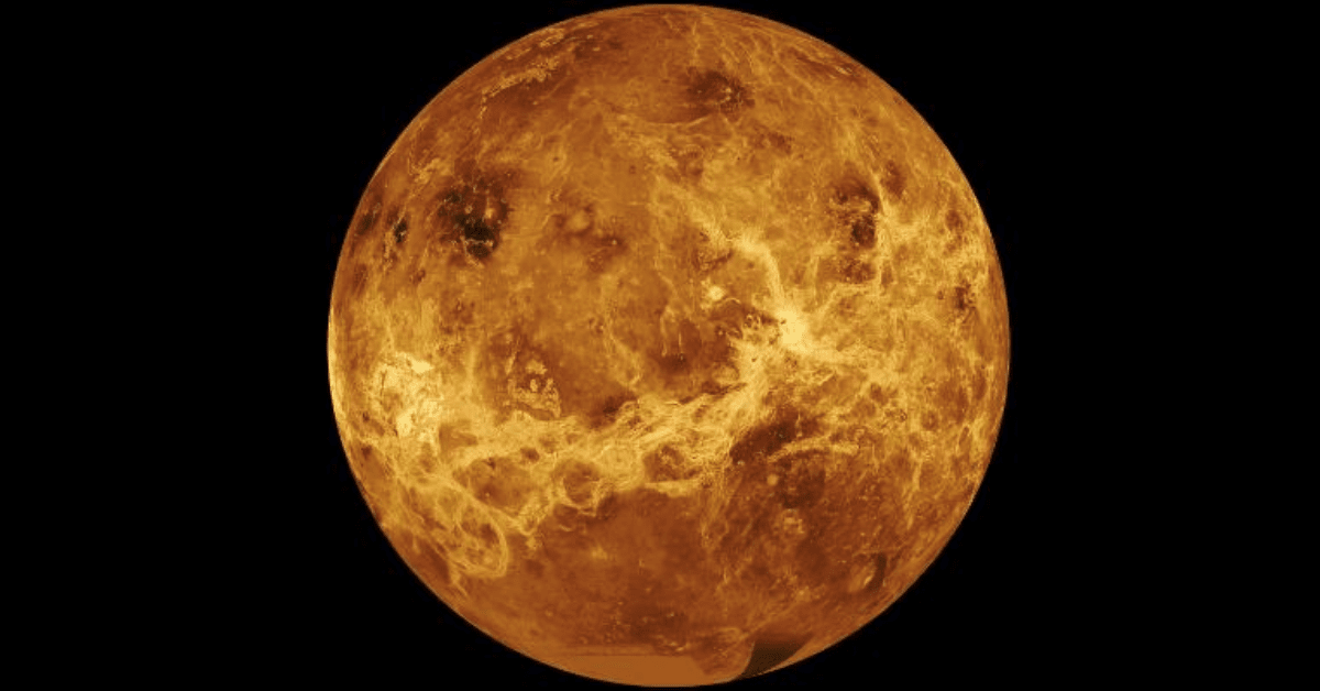 Could there be life on Venus?