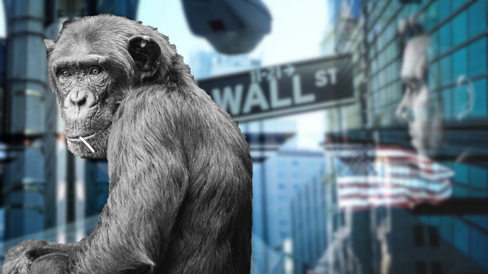 Monkey beats man on stock market picks