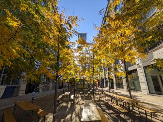 Review: The Pixel 5 is still a great phone, but that’s no thanks to the