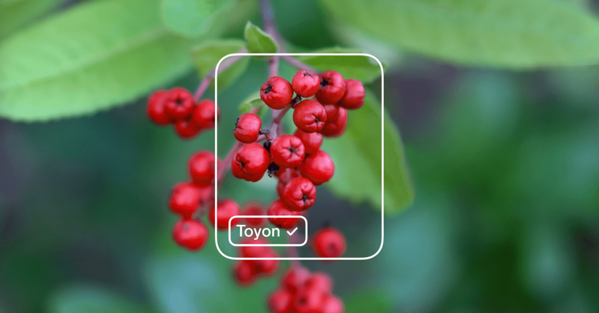 Microsoft unveils FREE app to create AI models without writing any code