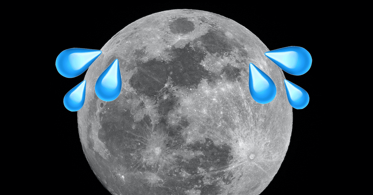 Nasa Discovers The Moon Is Wet Now Scientists Want To Go Back