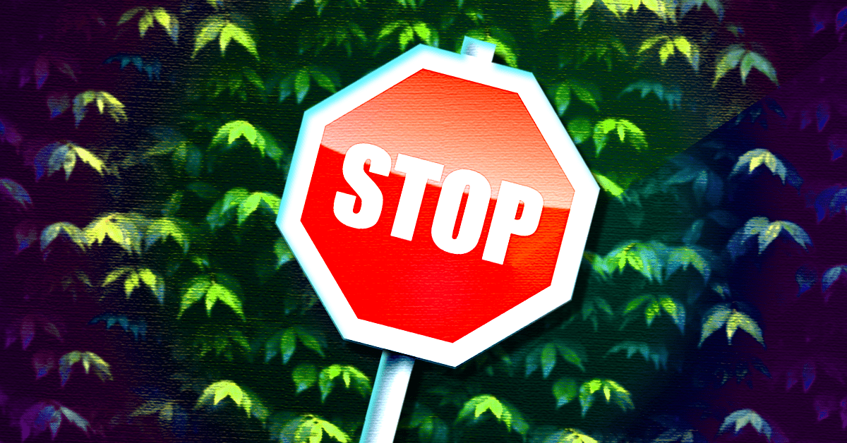 You need to stop hiring ‘cultural fits’