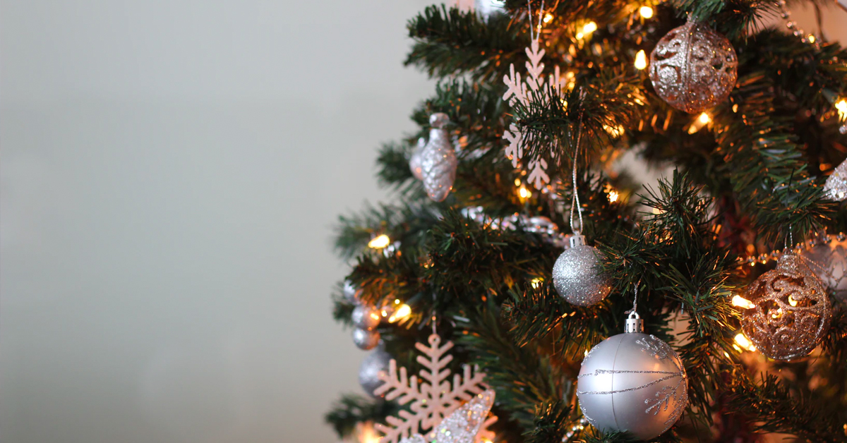 How to check your Christmas tree’s carbon footprint