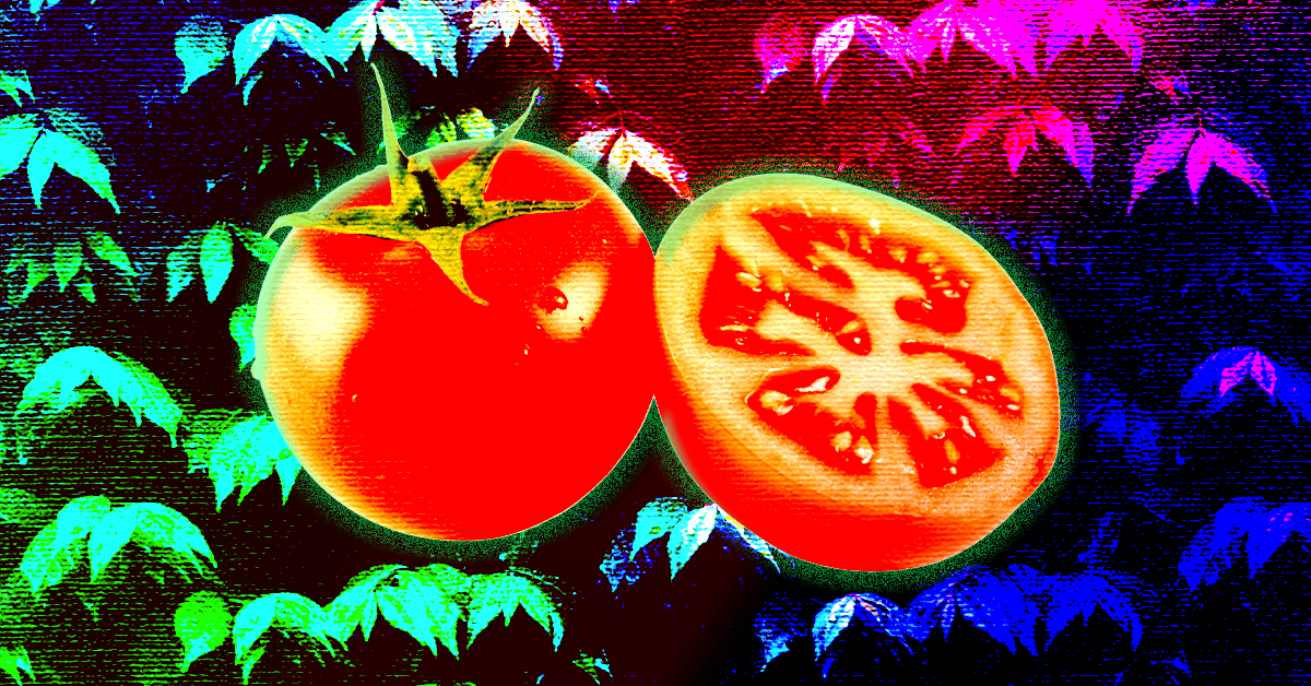 What the hell is the Pomodoro Technique and why is it good for productivity?