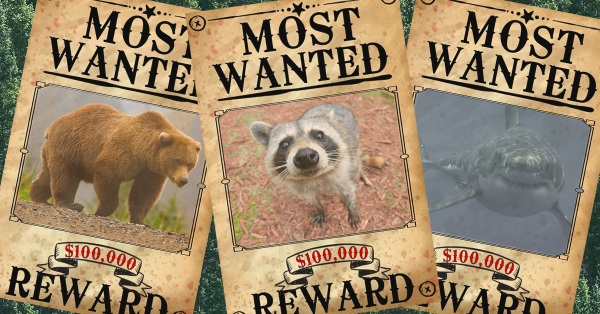 We should hold animals accountable for their crimes. Here’s how AI can help