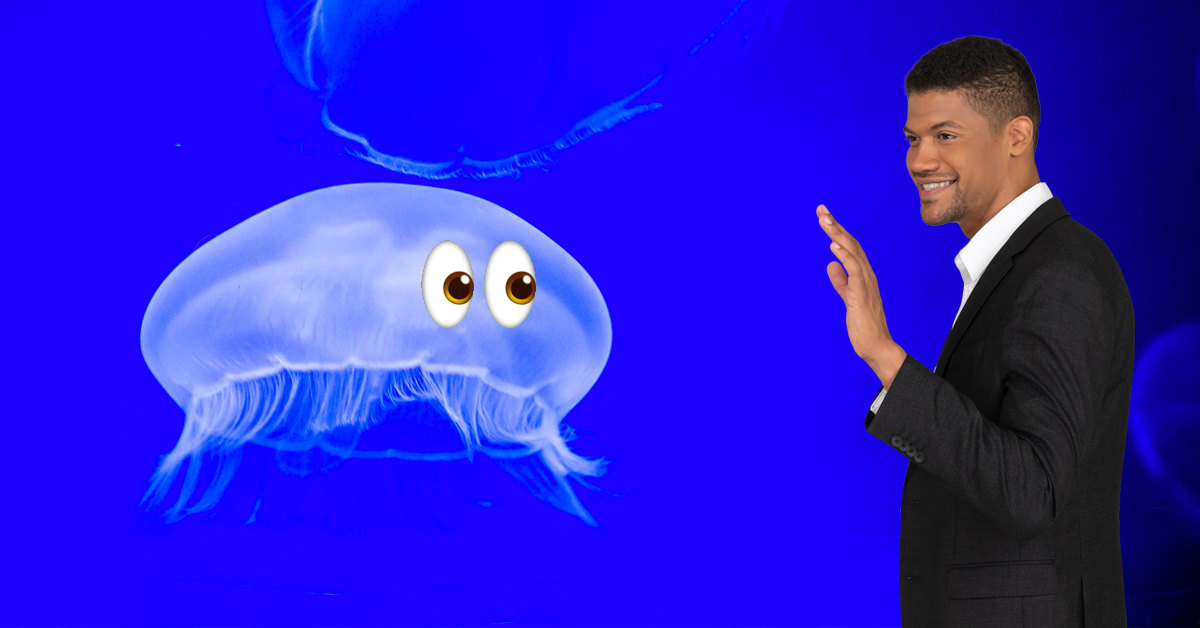 You are more closely related to comb jellies than sponges, new study claims