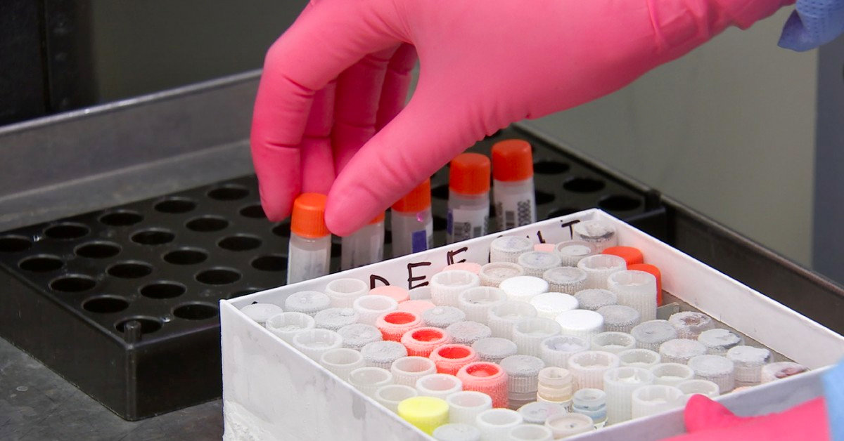 The risks of Pfizer’s COVID-19 vaccine for patients with a history of severe allergies