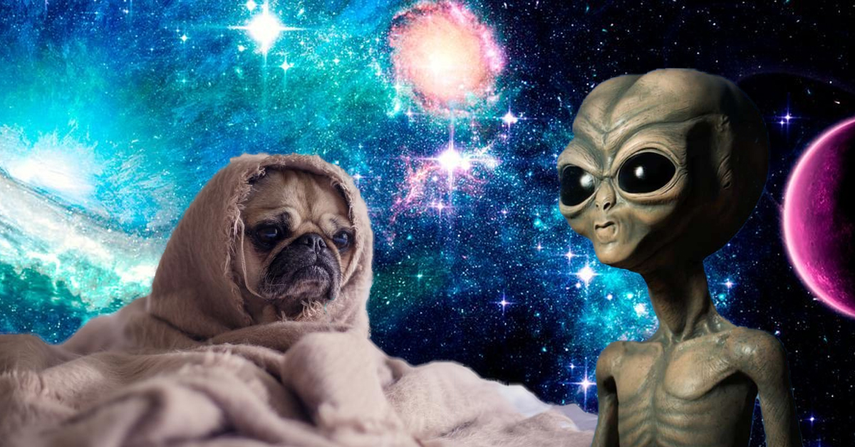 Here’s 3 sad science news stories to ruin your day (because it’s still 2020)