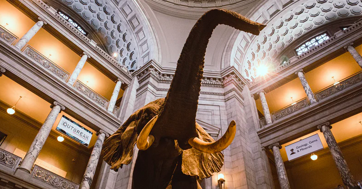 Night at the Museum brought to life by new mixed reality tech