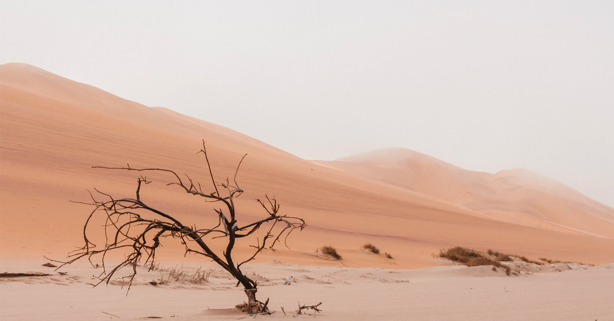 5 unusual technologies that can prevent a global water crisis