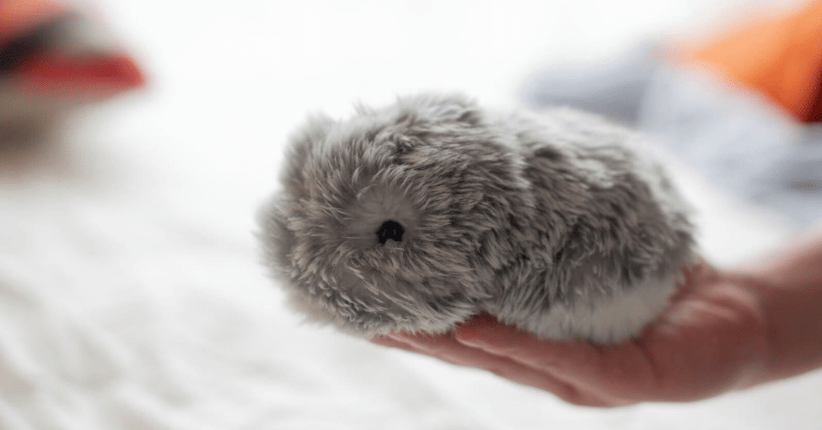 This cute AI pet will fill the deep, dark void in your life