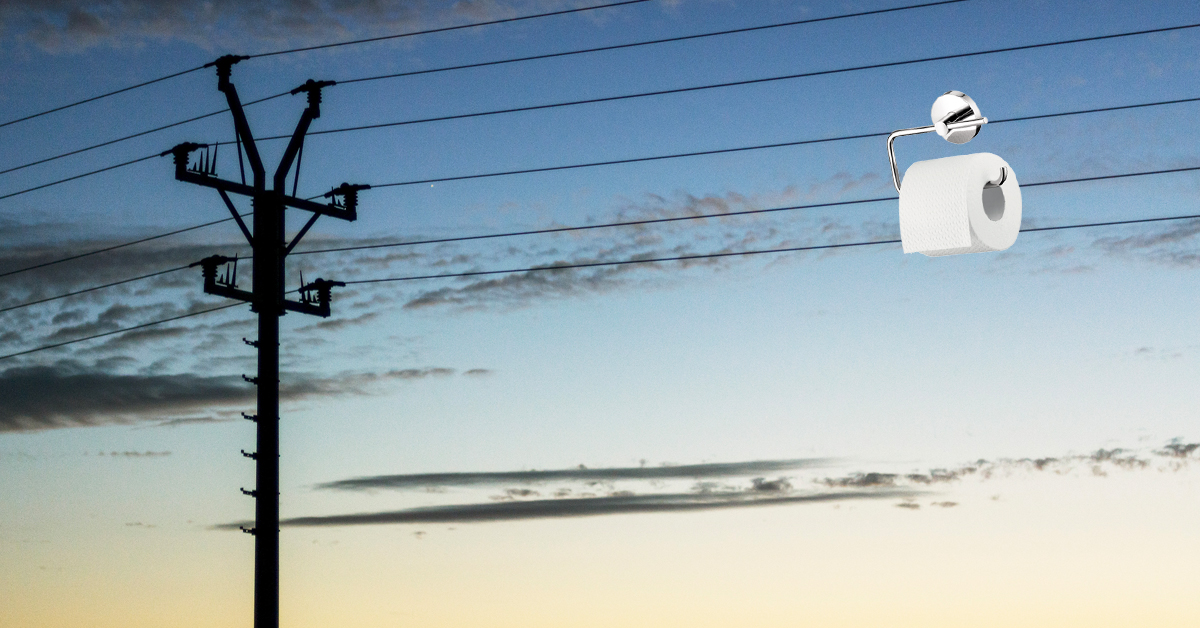 How ‘pee bacteria’ could change electricity production as we know it