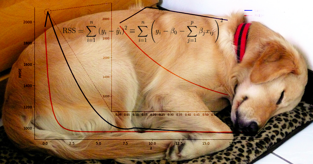 How to turn your dog’s nap time into a regularized linear model