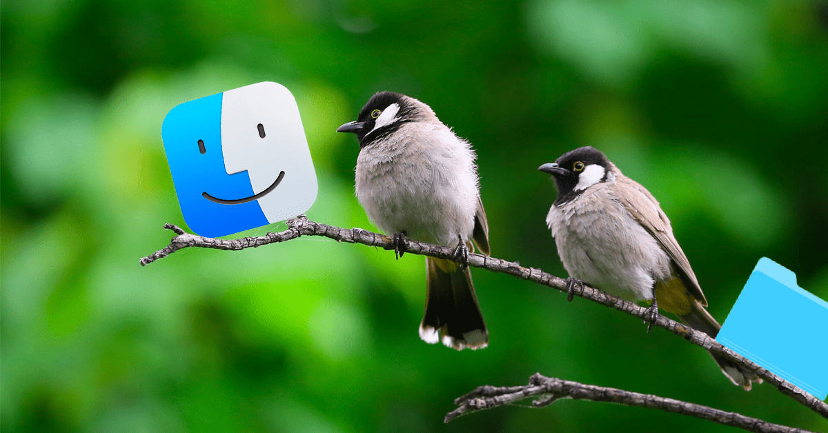 This adorable macOS extension names new folders after birds
