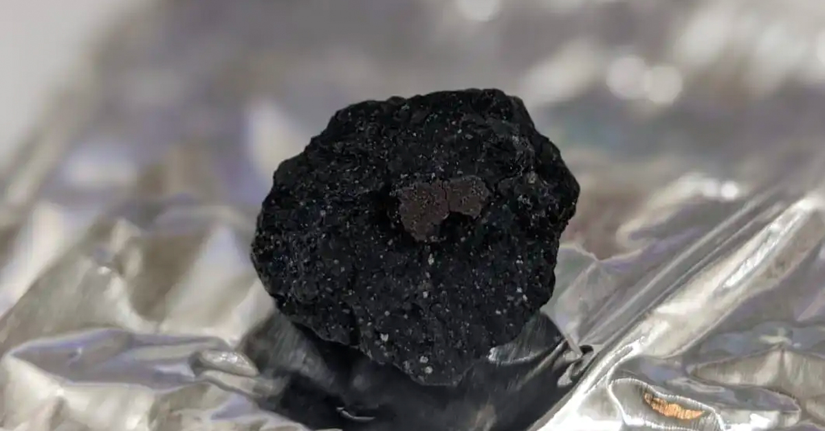 This rare meteorite found on a driveway might hold the answer to our solar system’s origin