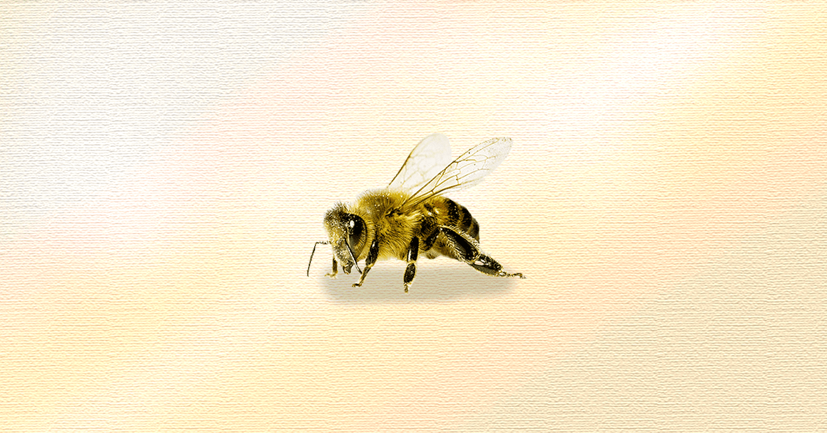 How to generate buzz in a buzzless industry