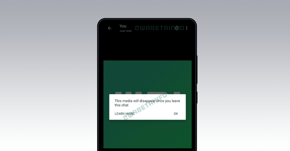 WhatsApp is reportedly working on ‘disappearing images’ — about fucking time