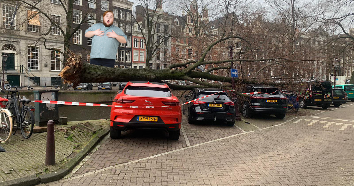 Amsterdam tree versus Jaguar i-Pace: Jag wins