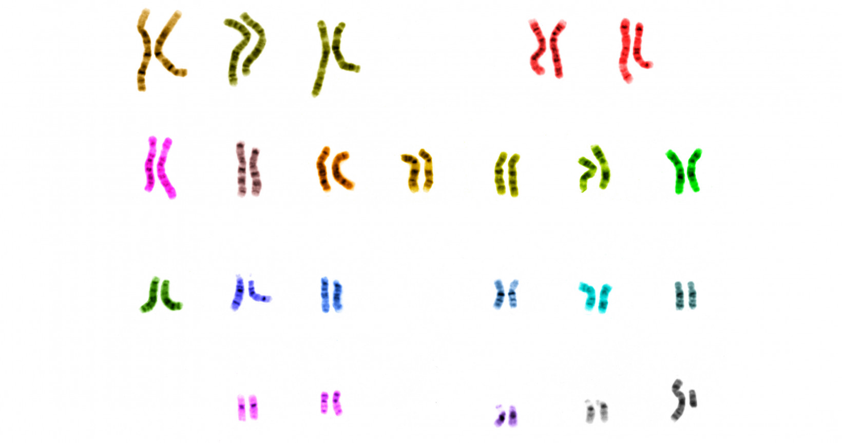 What we can learn from sequencing 1 million human genomes with big data