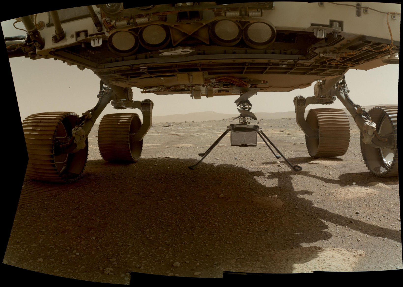 El helicóptero Ingenuity de la NASA se puede ver aquí con las cuatro patas desplegadas antes de caer desde el vientre del rover Perseverance el 30 de marzo de 2021, el día 39 marciano, o sol, de la misión.