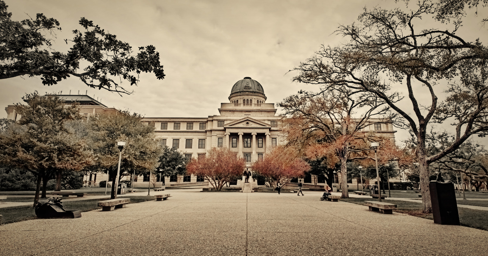 Texas A&M drops ‘race’ from student risk algorithm following Markup investigation