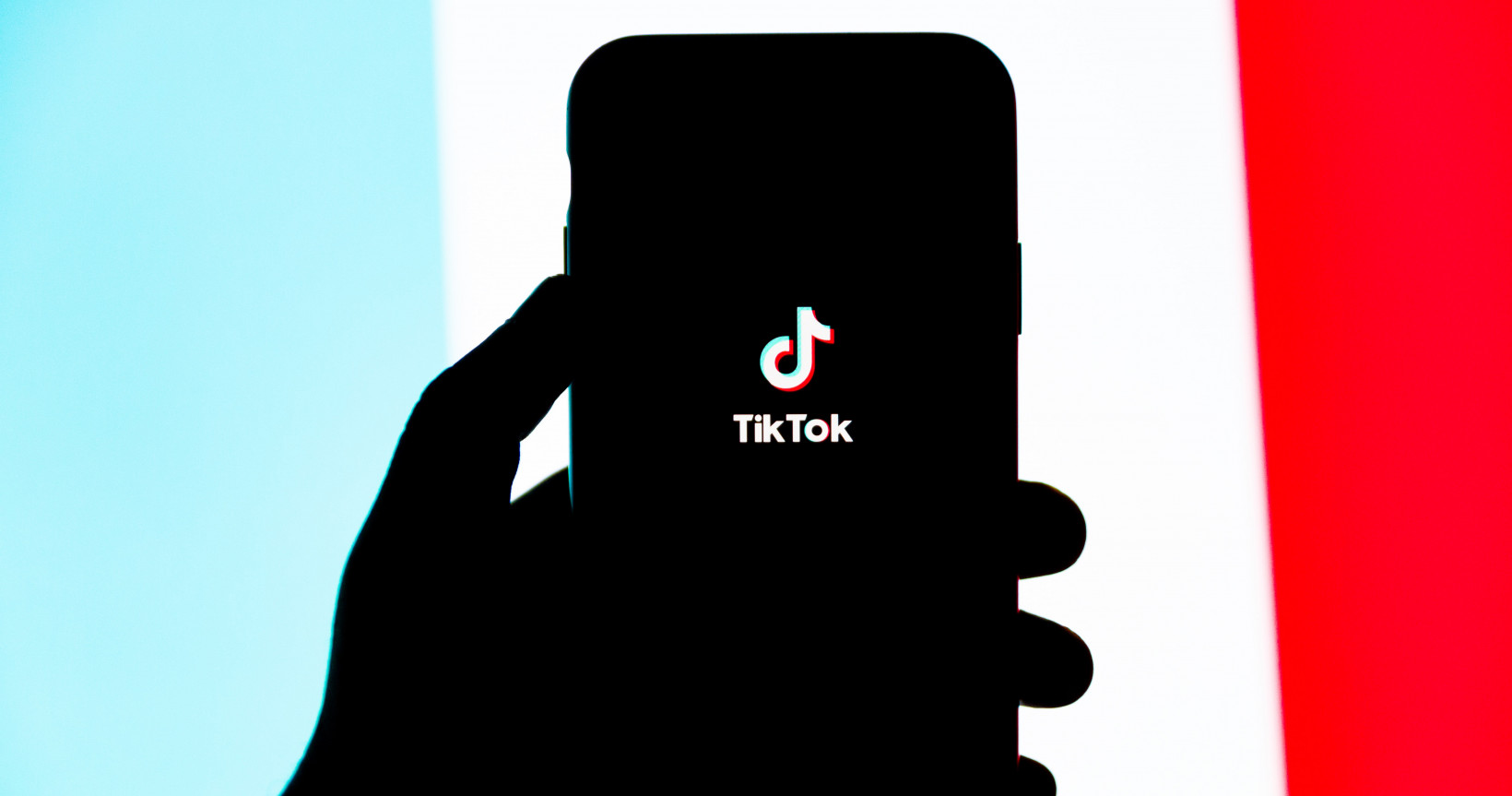 TikTok Is Reviving The Slap Chop—But Does It Actually Work?