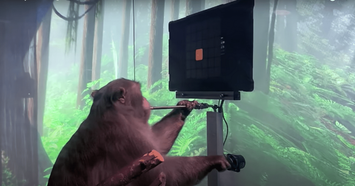Elon Musk's Neuralink startup has posted a video of a macaque called Pager playing the video game using only a brain implant.