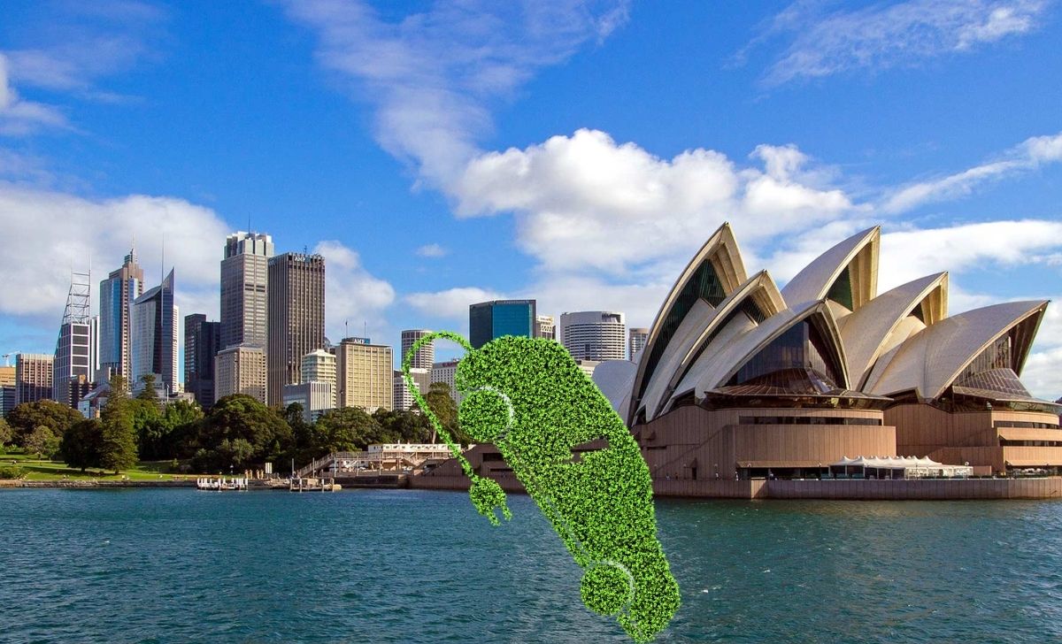 Australia’s EV adoption is being needlessly held up by red tape