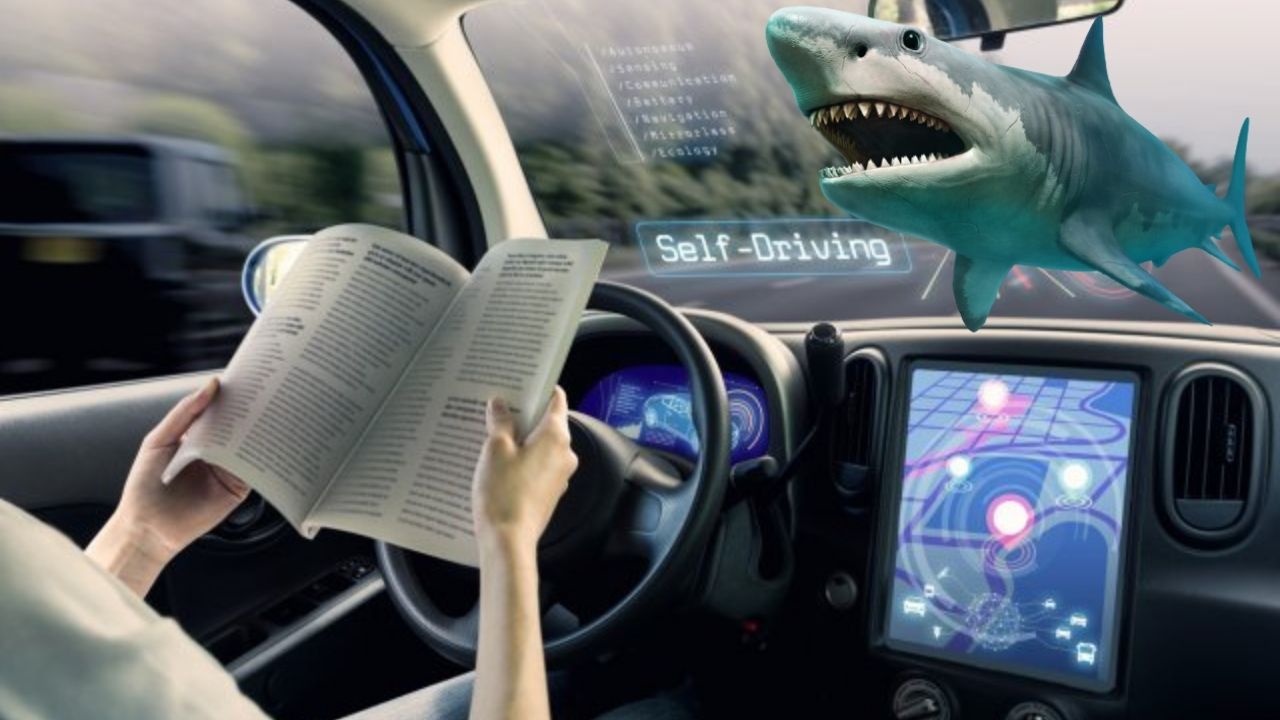 3 in 10 Americans would rather swim with sharks than ride an autonomous vehicle