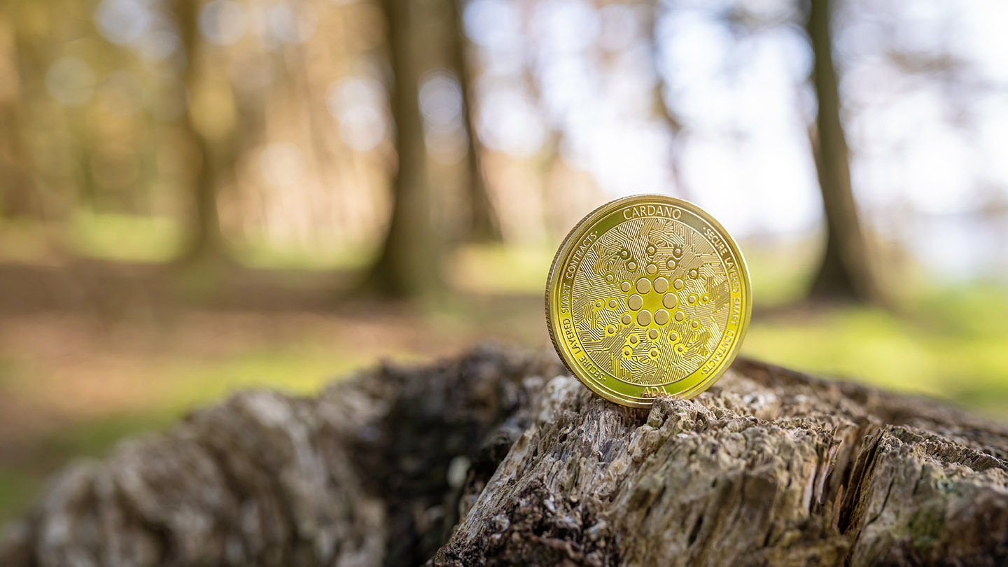 Altcoins could help cut down the outrageous energy consumption of Bitcoin