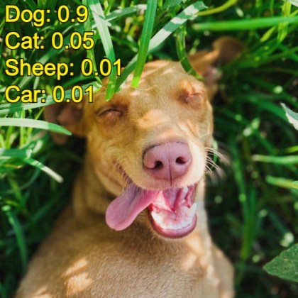 machine learning image classification dog