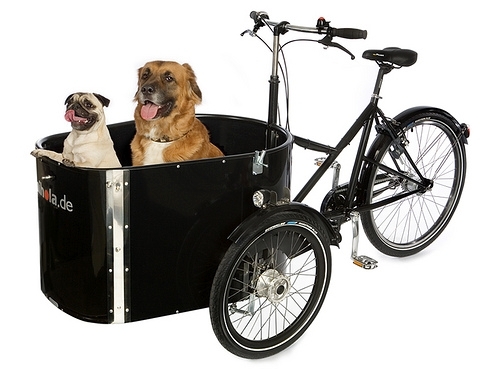Ebikes can be used to transport pets and kids.