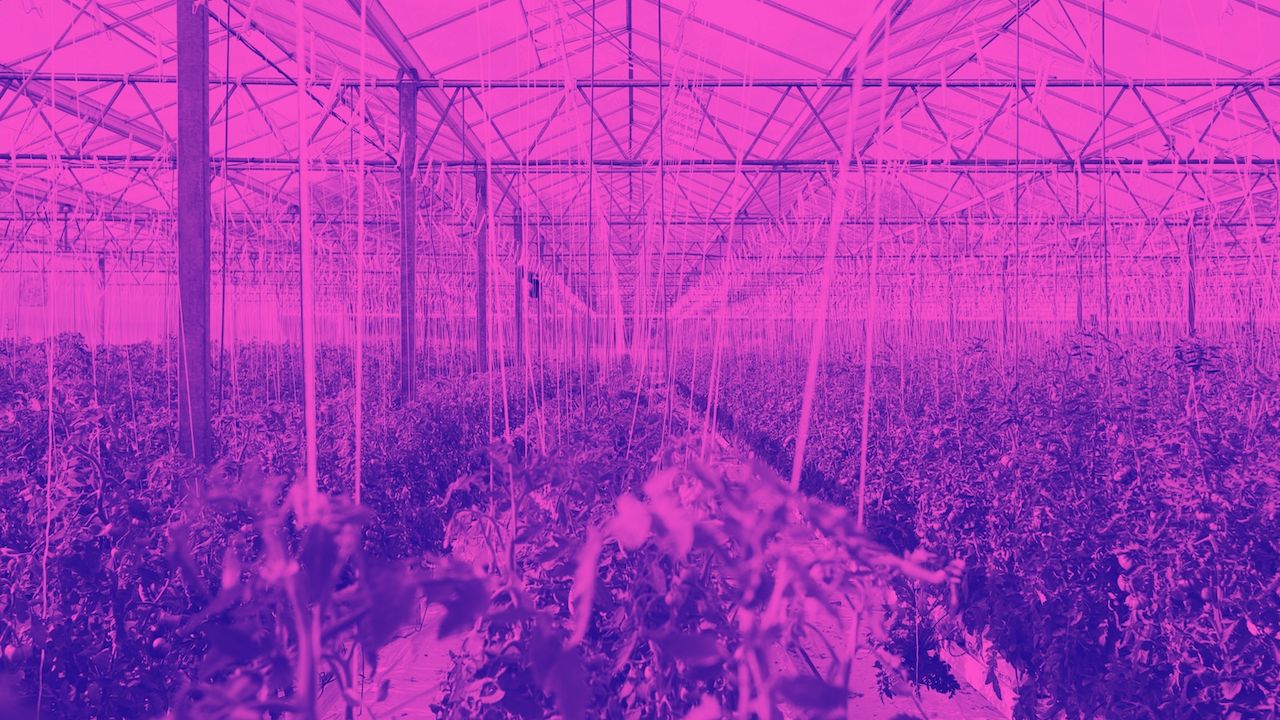 3 simple (but difficult) steps to grow your startup ecosystem