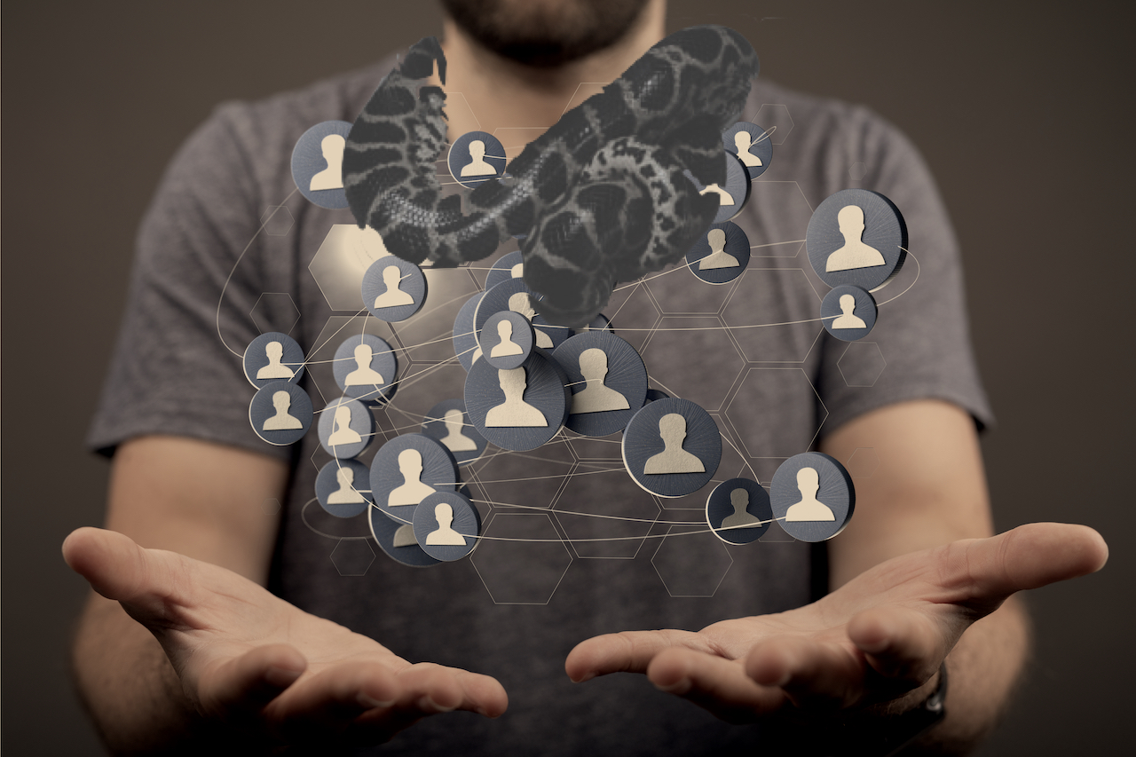 How to use Python to figure out why your friends have more friends than you