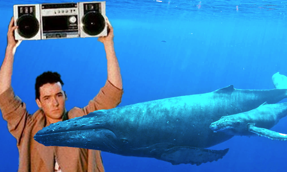 Scientists think they can finally speak to whales. Maybe they shouldn’t?