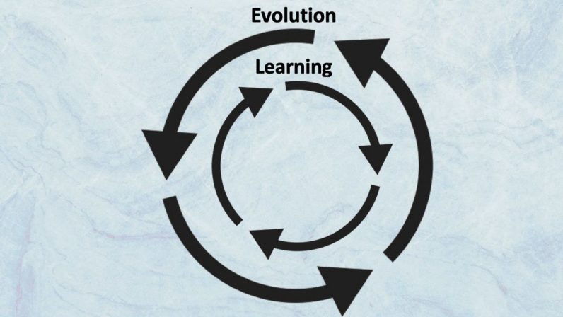Evolution and learning