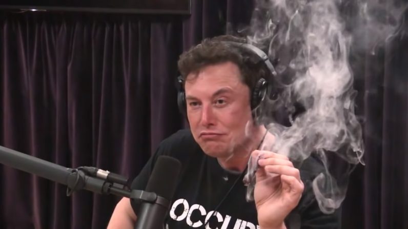 un Elon très enfumé 