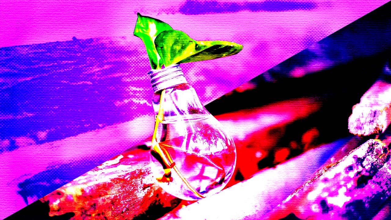 How to achieve sustainable hyper growth: Learn, unlearn, and re-learn