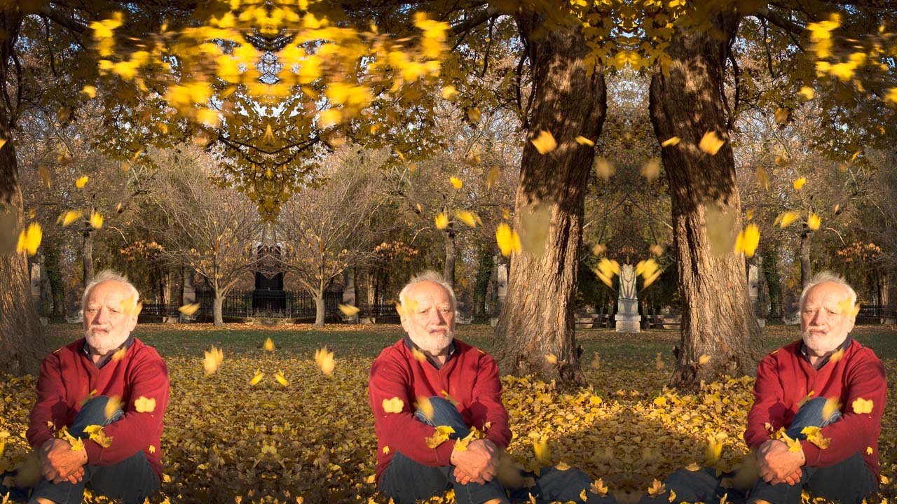 Hide the Pain Harold’s new autumn ‘stock photos’ perfectly capture your dark day blues