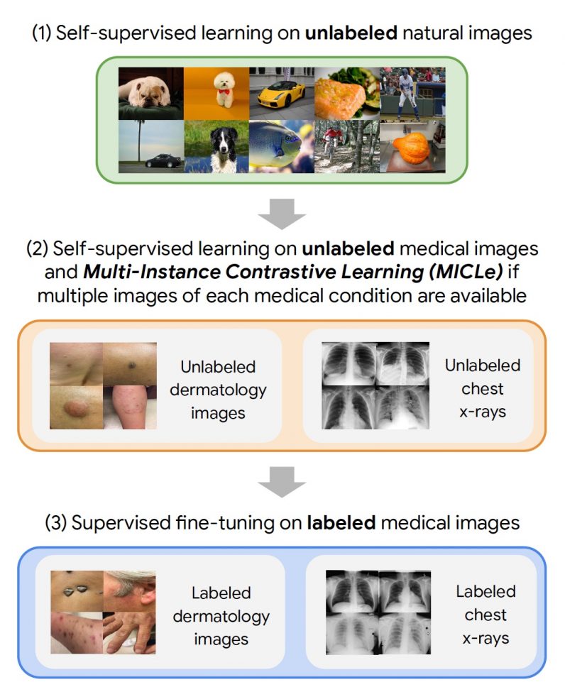 self-supervised-pretraining-for-medical-imaging