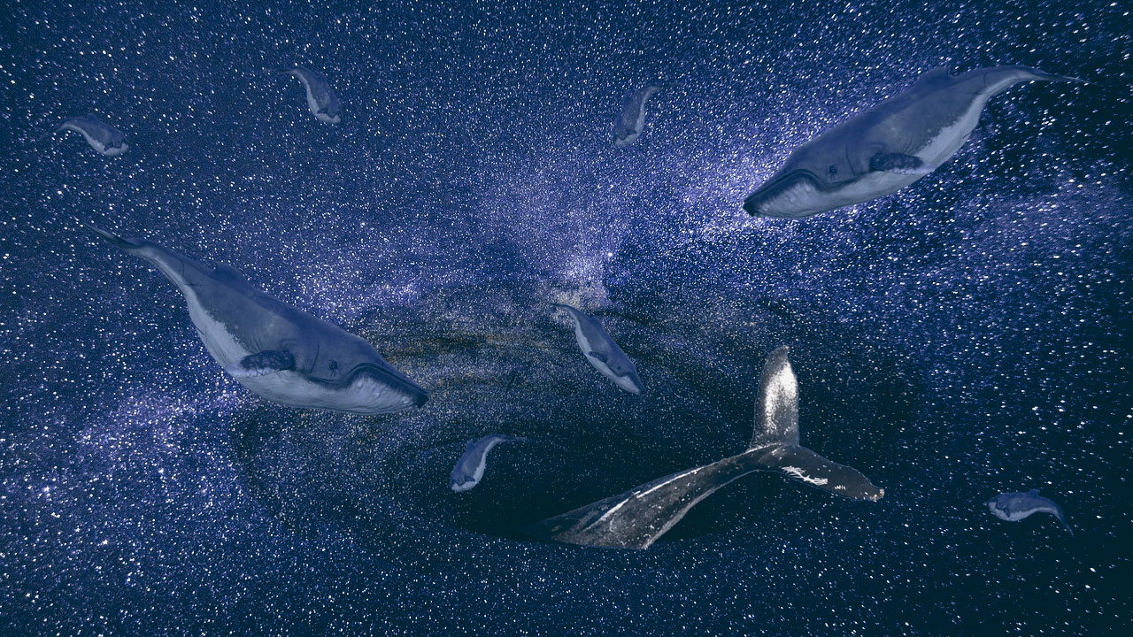 How Einstein, Elon, and Uncle Sam could ruin cryptocurrency by 2050